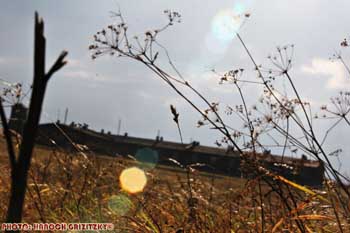IMG_ (10802)